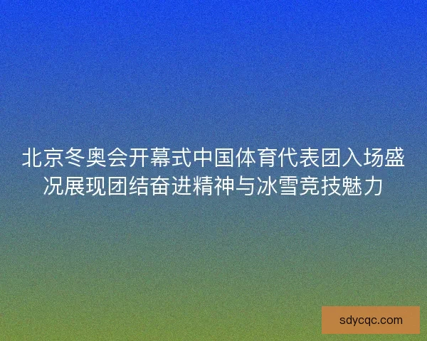 北京冬奥会开幕式中国体育代表团入场盛况展现团结奋进精神与冰雪竞技魅力 北京冬奥会开幕式中国体育代表团入场盛况展现团结奋进精神与冰雪竞技魅力