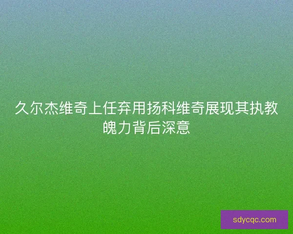 久尔杰维奇上任弃用扬科维奇展现其执教魄力背后深意 久尔杰维奇上任弃用扬科维奇展现其执教魄力背后深意