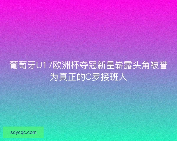 葡萄牙U17欧洲杯夺冠新星崭露头角被誉为真正的C罗接班人